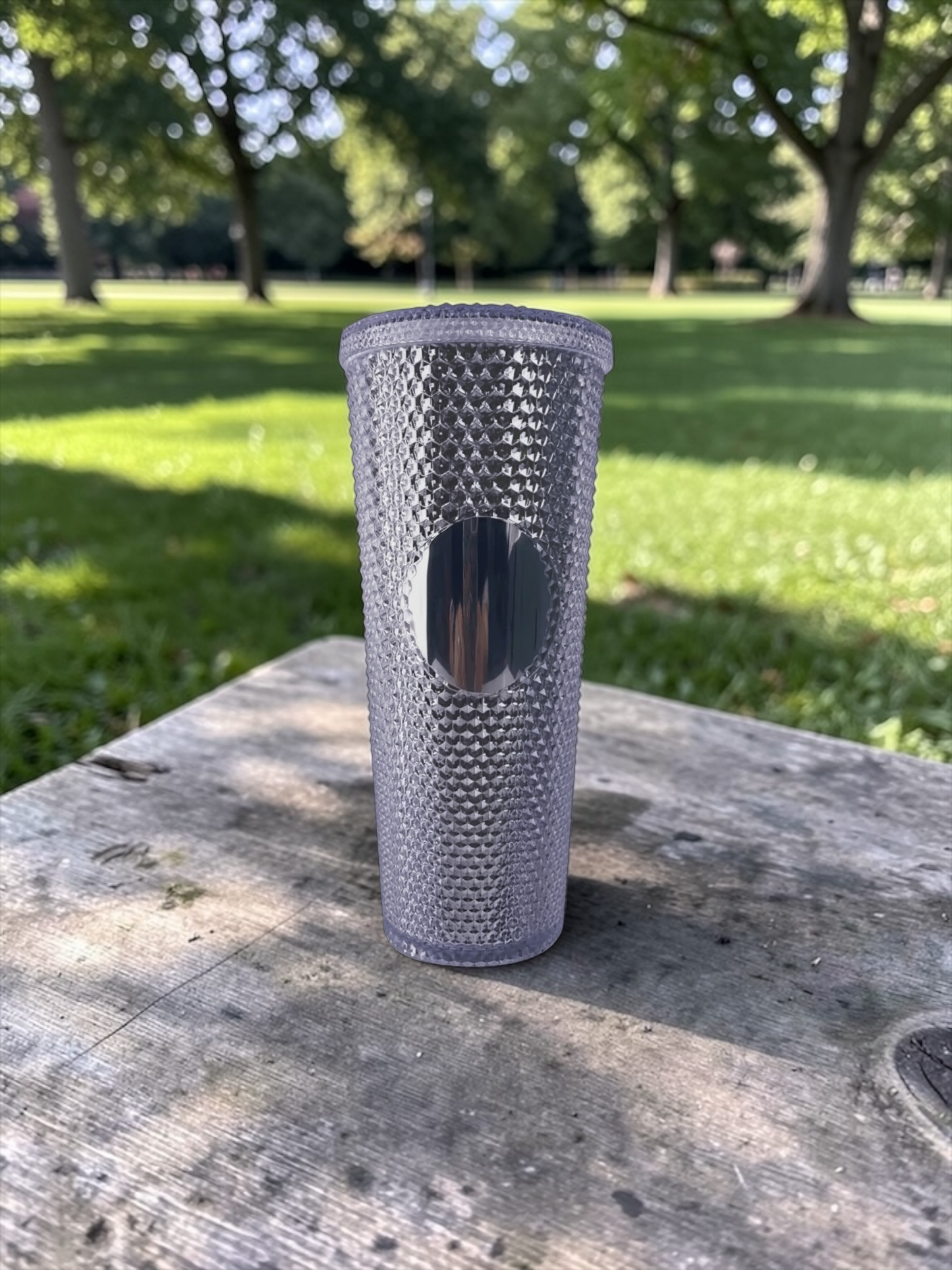 Silver 24oz Double Wall Studded Tumbler