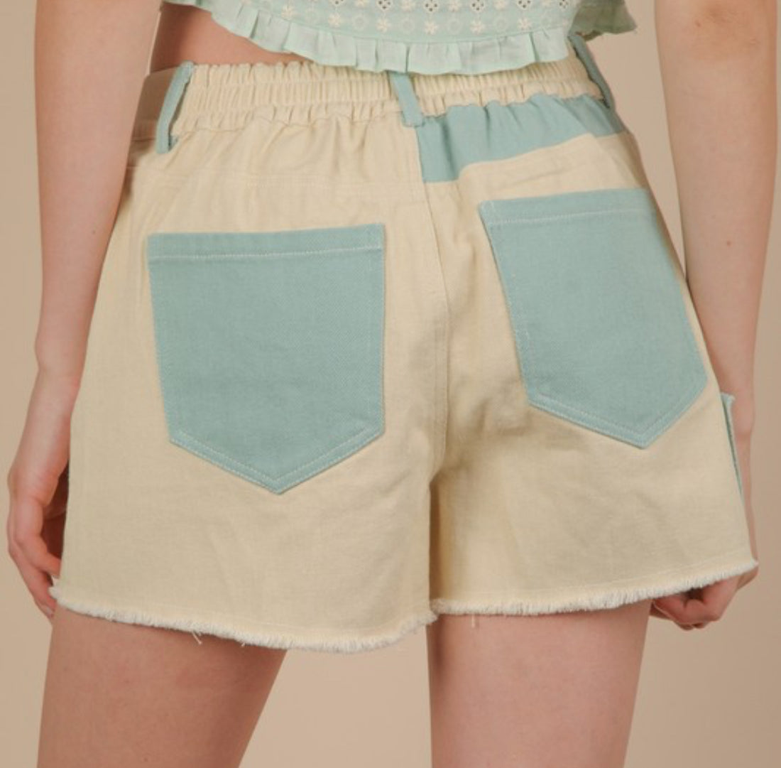 Coastal Shorts/ Sage 101