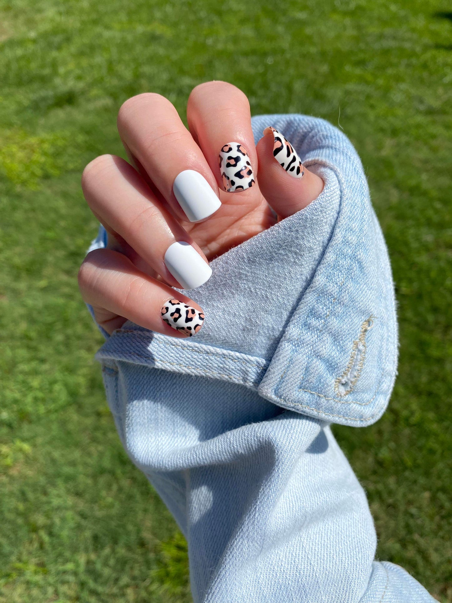Leopard for Lydia