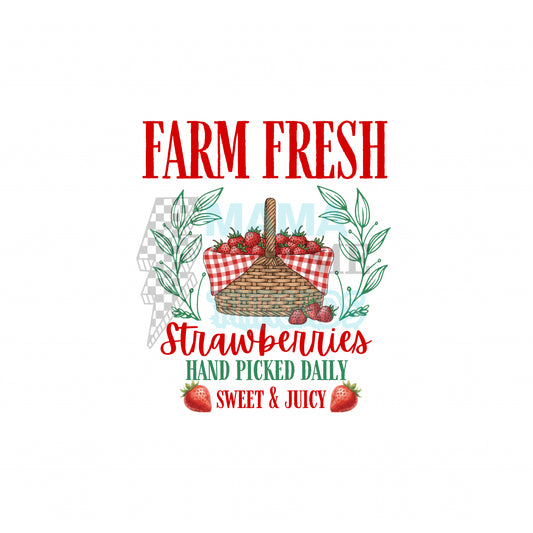 Farm Fresh Strawberries