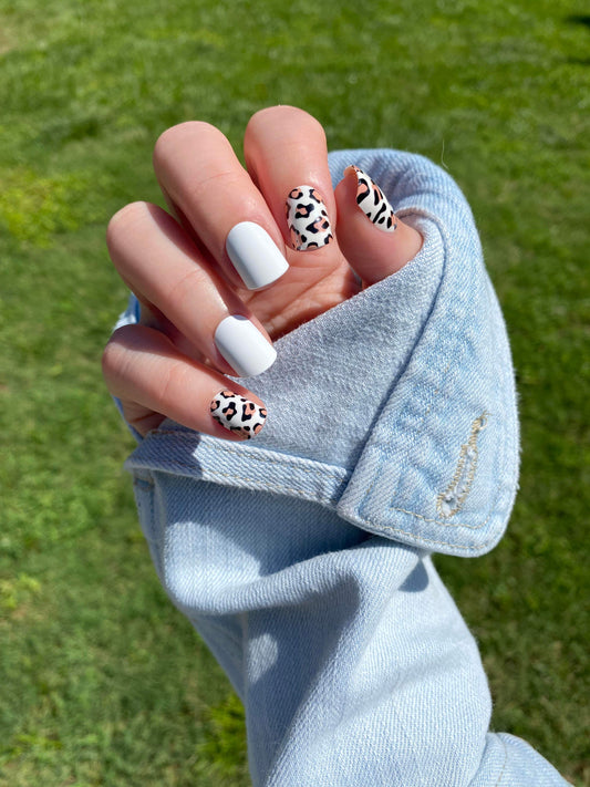 Leopard for Lydia