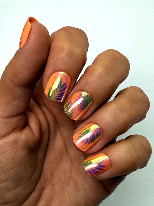 Fabulous Fronds,  Fherba