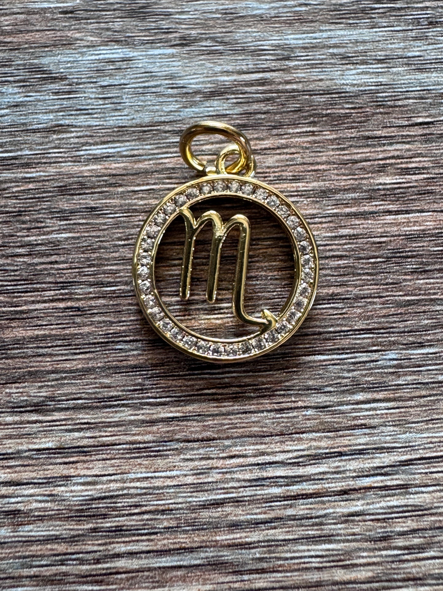 * Gold What's Your Sign? Zodiac Charms| Set of 12